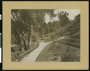 View of Williams Park in Pasadena, 1907