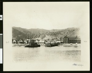 View of Avalon Harbor showing the Metropole Hotel, 1892