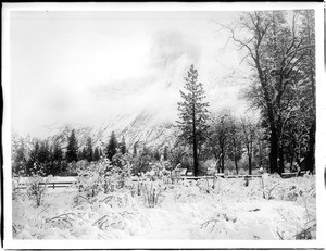 Snow coats Yosemite Valley in Yosemite National Park, California, during a winter storm, 1850-1930