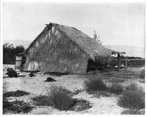 View of a hut made of thatched palm leaves, ca.1920