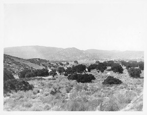 Panoramic view of Beaumont, ca.1890