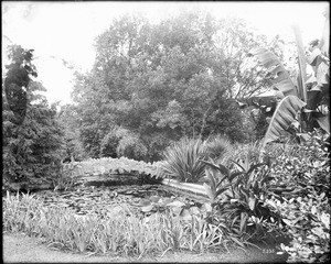 View of the pond and bridge at Singleton Court, ca.1920