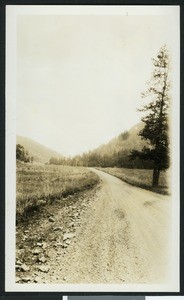 Road through the Mescalero Indian Reservation in New Mexico, ca.1935