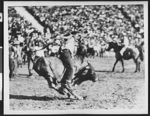 Rodeo cowpuncher, ca.1940