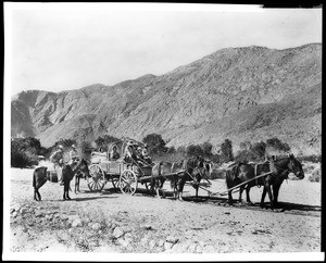 Overland travelers arriving in Palm Springs in a horse-drawn wagon, ca.1880 (1898?)