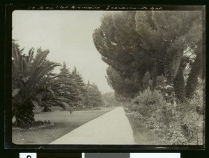 State Capitol grounds in Sacramento, ca.1900