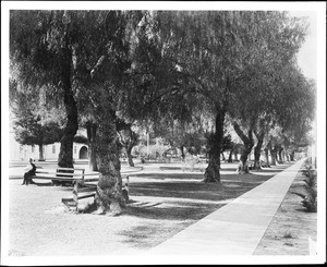 View of San Bernardino City Park, ca.1900