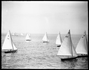 Sailboats scattered across an unidentified body of water