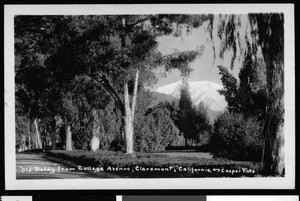 Old Baldy from College Avenue in Claremont, ca.1900