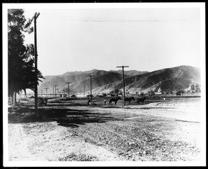 View of Sunset Boulevard in Hollywood, showing workmen and a team of horses preparing real estate tracts, 1905