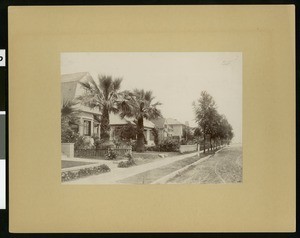 View of houses on Cedar Street in Long Beach, looking south from Fourth Street, 1905