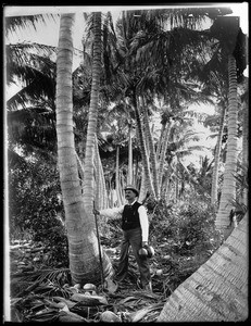 Portrait of a man standing amidst palm trees in Florida, ca.1920