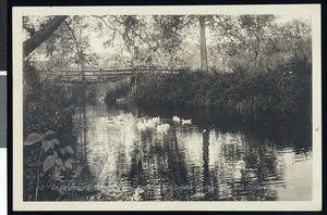 On the stream in front of the hotel, San Luis Hot Sulphur Springs, San Luis Obispo County, ca.1900