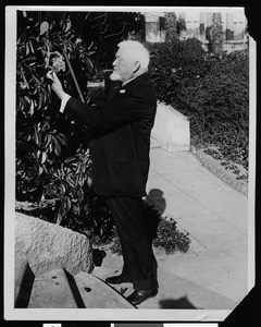 California Botanic Gardens, showing plant being examined by T. H. Wheeler