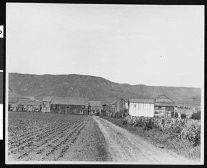 View of a truck garden and ranch buildings on Buri-Buri Ranch, south of San Francisco, ca.1900