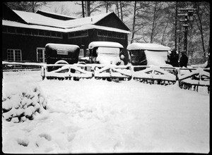 Three automobiles parked outside a cabin in the woods