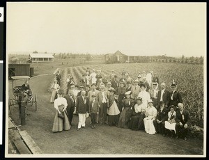 A group of excursionists from the Los Angeles Chamber of Commerce in a pineapple grove at Wahiawa, Hawaii, 1907