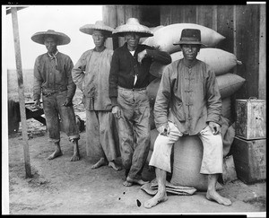 Four Chinese field hands standing near a building, ca.1898