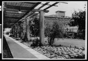 Exterior view of the Ambassador Hotel from a covered walkway, ca.1920-1929