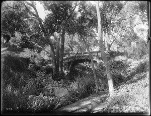 Busch Sunken Garden, Pasadena, California, ca.1906-1910