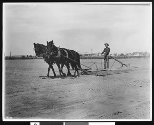 Worker leveling the ground for seeding, ca.1900