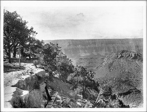 A man sits under a tree at Bass Camp as the Grand Canyon spreads out before him, 1900-1930