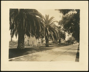 Home partially obscured by palm trees, ca.1910