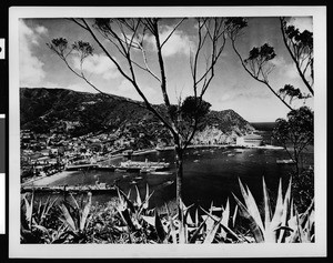 Panoramic view of Avalon harbor, ca.1930