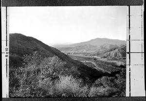 View of mountains with trees in the foreground and orchards in the valley below