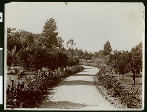 Driveway with landscaping, ca.1900