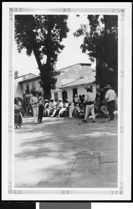 Men under trees in Mexico, ca.1905