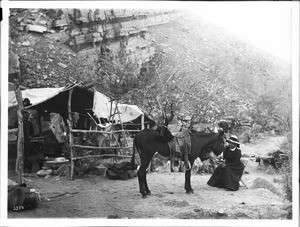 Camp on the Shinemo Trail (Bass Trail) on the north side of the Grand Canyon, ca.1900-1930