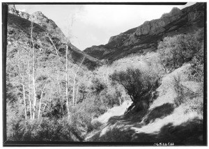 Sequit Canyon, Malibu District, January 14, 1928