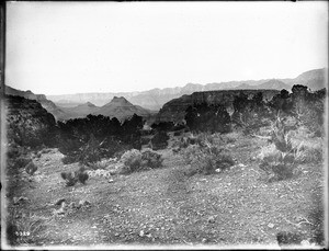 Grand View Plateau in moonlight, Grand Canyon, looking east