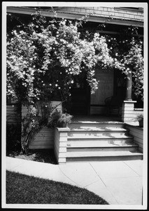 Unidentified porch overgrown with flowers