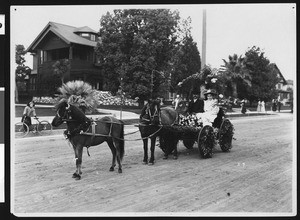 Horse-drawn float at the Pasadena Tournament of Roses celebration, ca.1906