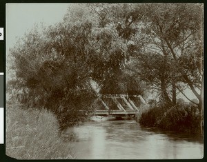 Bridge over an irrigation ditch near Fresno, ca.1910