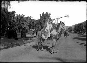 Pasadena Tournament of Roses herald on horseback, 1909