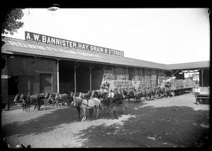 Exterior view of the A. W. Bannister hay, grain and storage building in Bakersfield, ca.1900