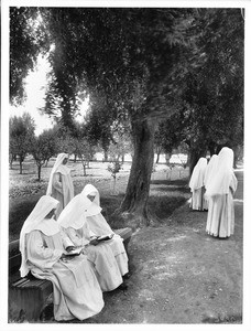 Group of seven Dominican sisters in the garden at their convent at Mission San Jose, ca.1906