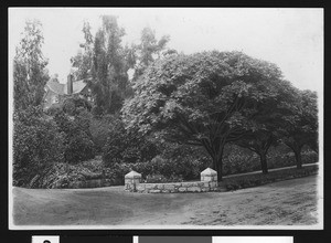 House closed in by trees in Redlands, ca.1900