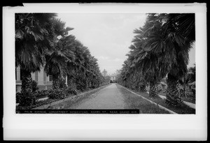 Path through Longstreet homestead on Palm Avenue and Adams Boulevard, Los Angeles, ca.1886