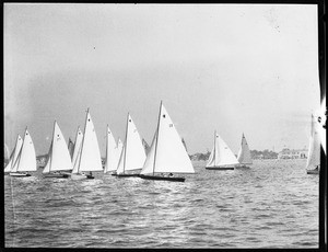 Several rows of sailboats bearing numbered masts on the water