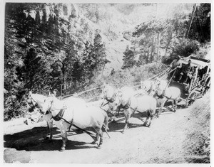 Stagecoach in Black Hills of South Dakota, ca.1880-1924 — Calisphere