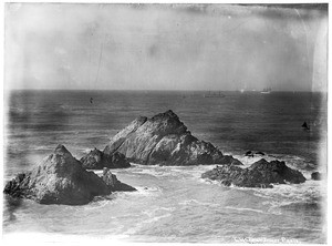 Seal rocks near San Francisco's Cliff House Restaurant, ca.1900