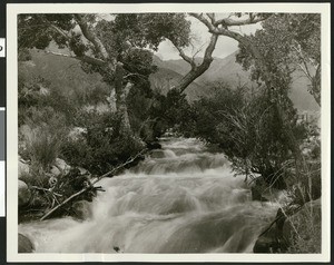 Unidentified brook cascading down through mountain terrain, ca.1950