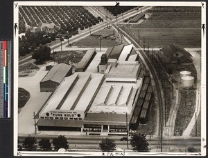 La Verne Cooperative Citrus Association packing house, ca.1920