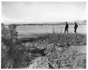 Mud springs and great sink on Mojave Desert near Rosamond, 1904