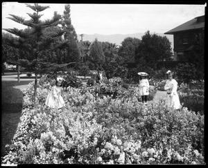 Four young children in a garden in Pasadena(?), 1900-1910