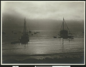 Several boats sitting at the water's edge in Avalon Bay, Catalina Island, ca.1900